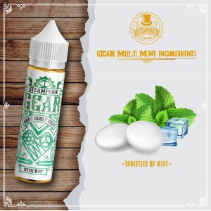 SteamPunk Gear Flavor Multi Mint 20->60ml